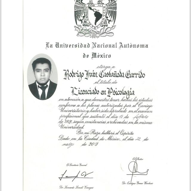 Ampliar imagen: certificate 4