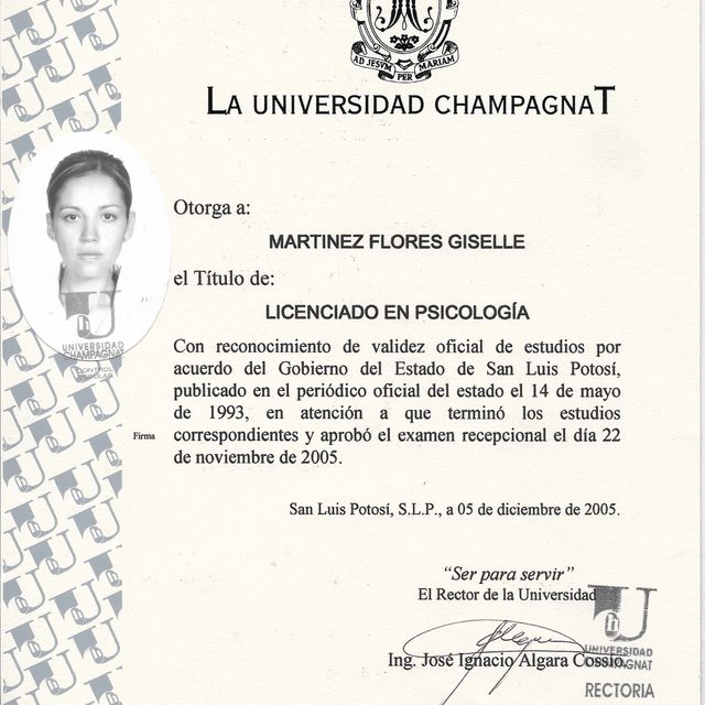 Ampliar imagen: certificate 3