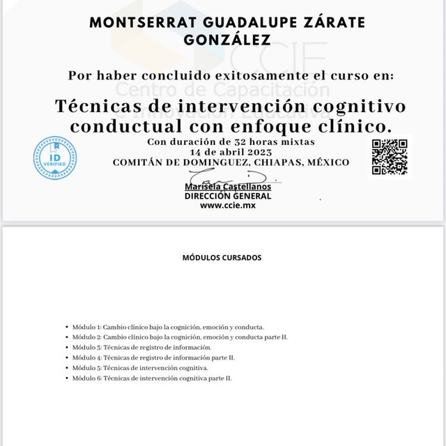 Ampliar imagen: certificate 3