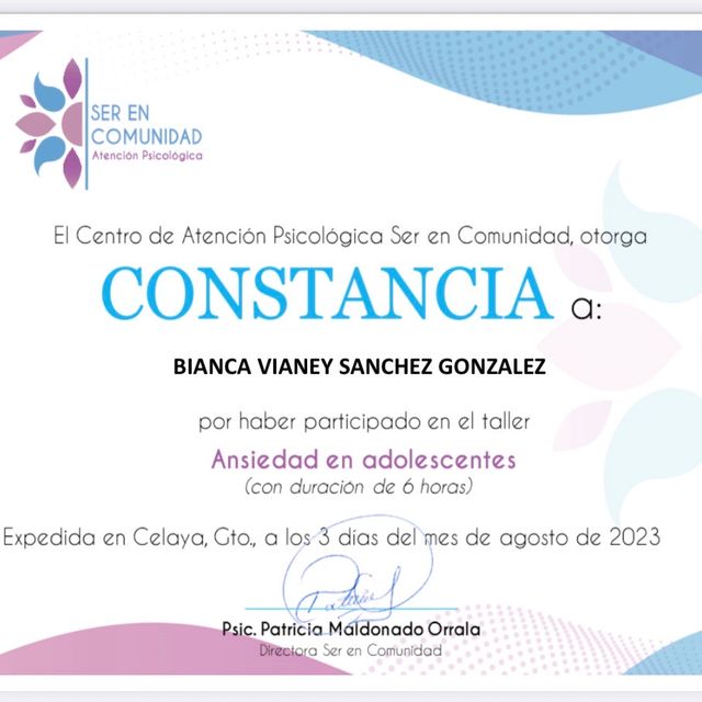 Ampliar imagen: certificate 6