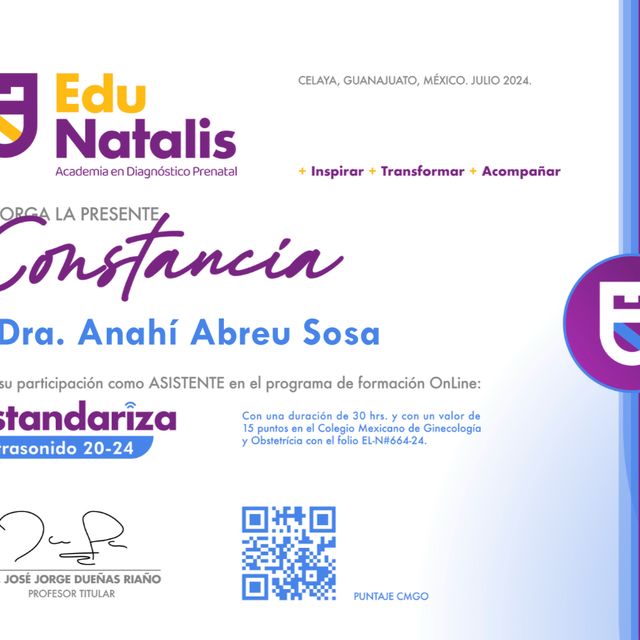 Ampliar imagen: certificate 9