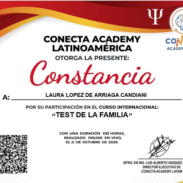 Ampliar imagen: certificate 48