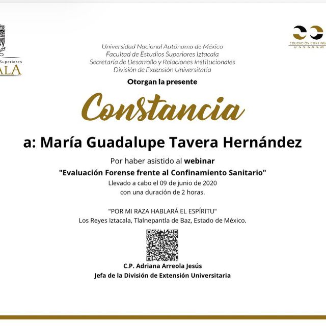 Ampliar imagen: certificate 22