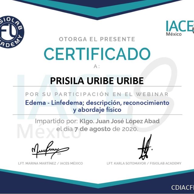 Ampliar imagen: certificate 3