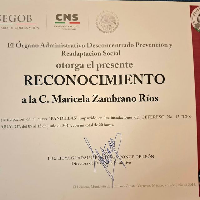 Ampliar imagen: certificate 12