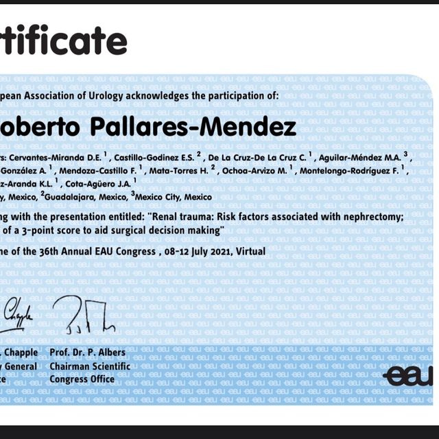 Ampliar imagen: certificate 2