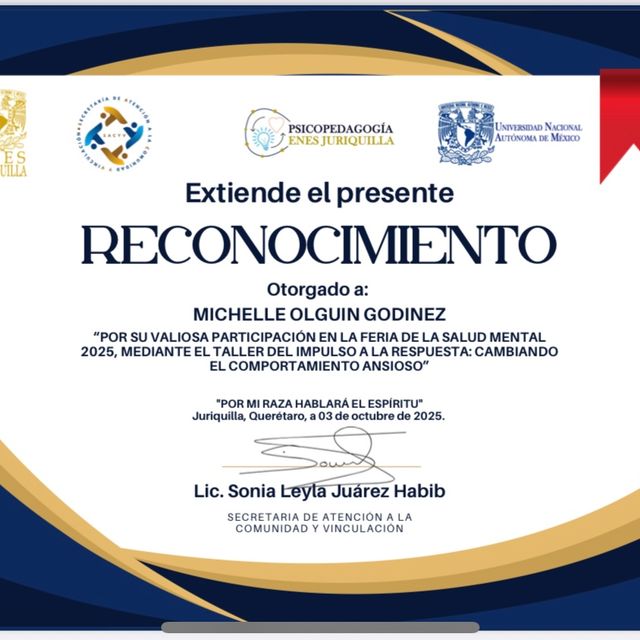 Ampliar imagen: certificate 2