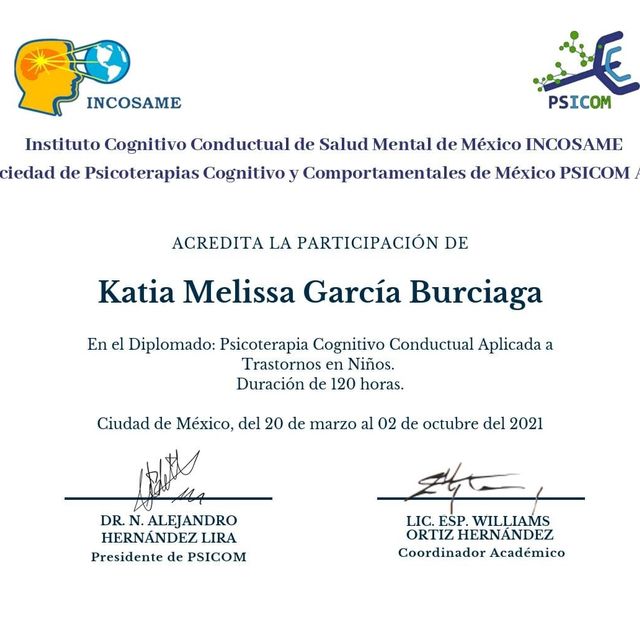 Ampliar imagen: certificate 2