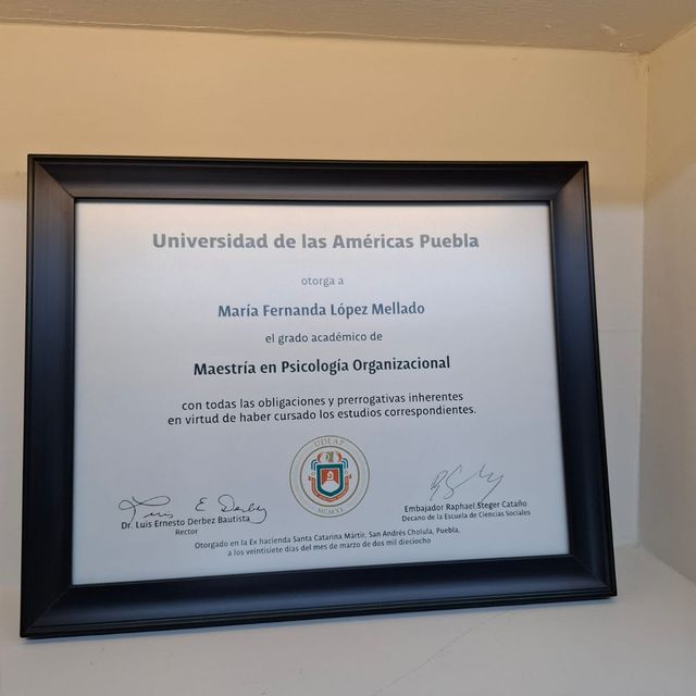 Ampliar imagen: certificate 4