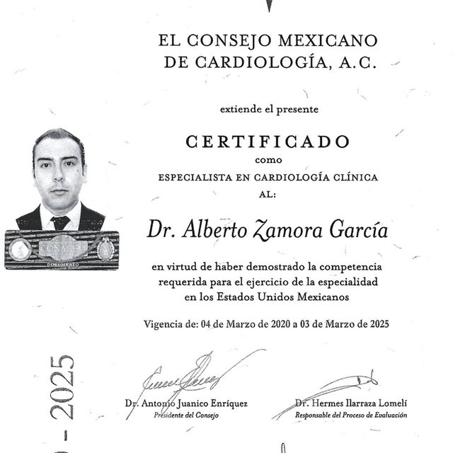 Ampliar imagen: certificate 3
