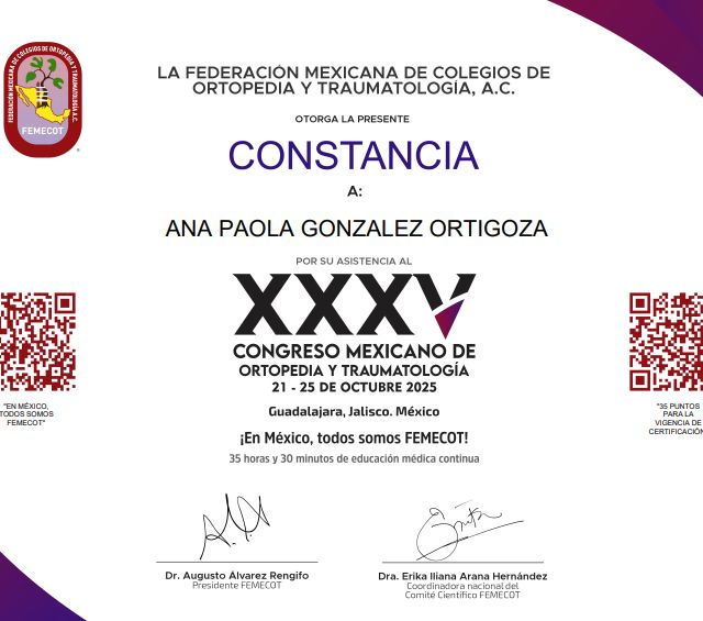 Ampliar imagen: certificate 4