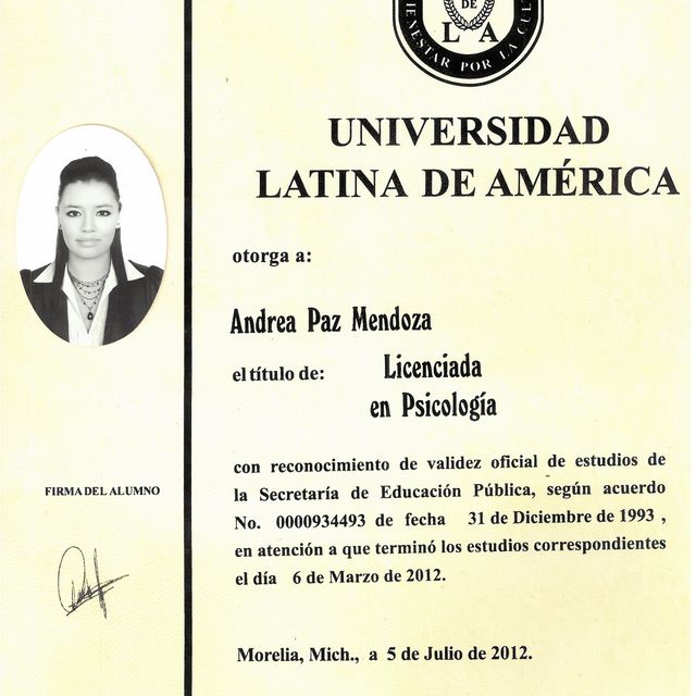 Ampliar imagen: certificate 1