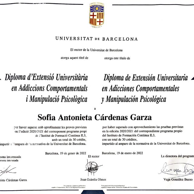 Ampliar imagen: certificate 5