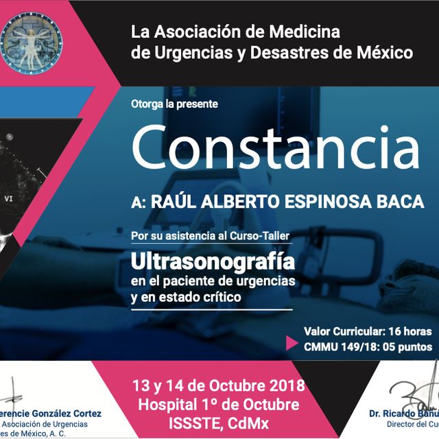 Ampliar imagen: certificate 2