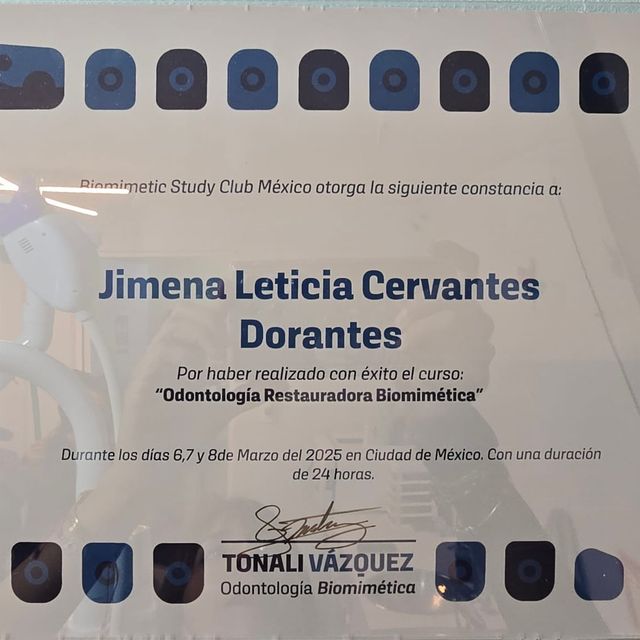 Ampliar imagen: certificate 5