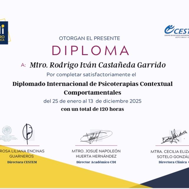 Ampliar imagen: certificate 2