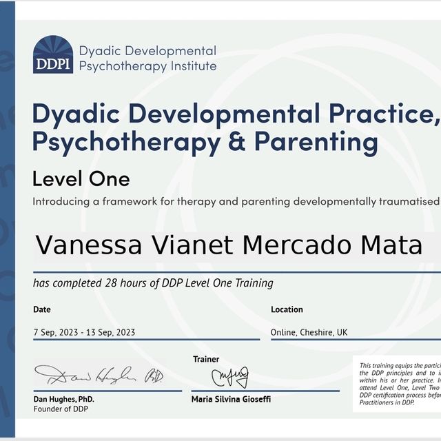 Ampliar imagen: certificate 4