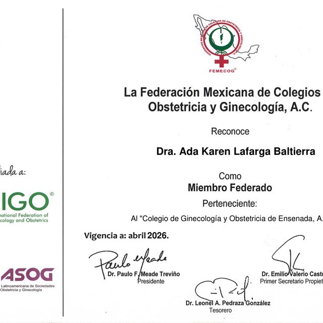 Ampliar imagen: certificate 3