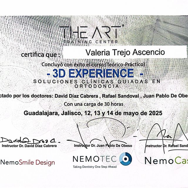 Ampliar imagen: certificate 7