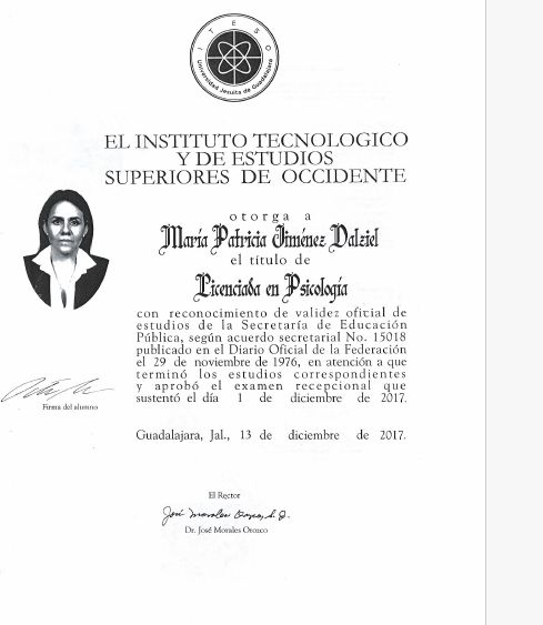 Ampliar imagen: certificate 1