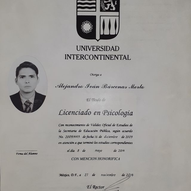 Ampliar imagen: certificate 5