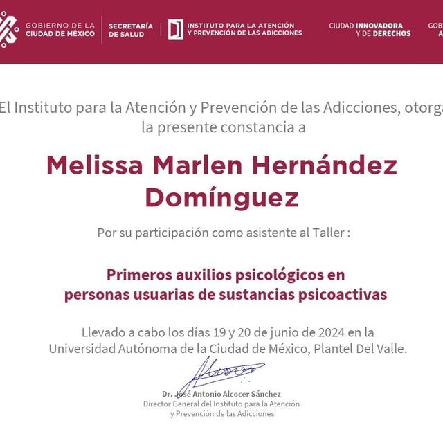 Ampliar imagen: certificate 6