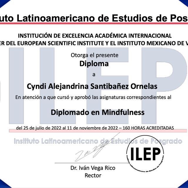 Ampliar imagen: certificate 1