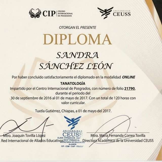 Ampliar imagen: certificate 2