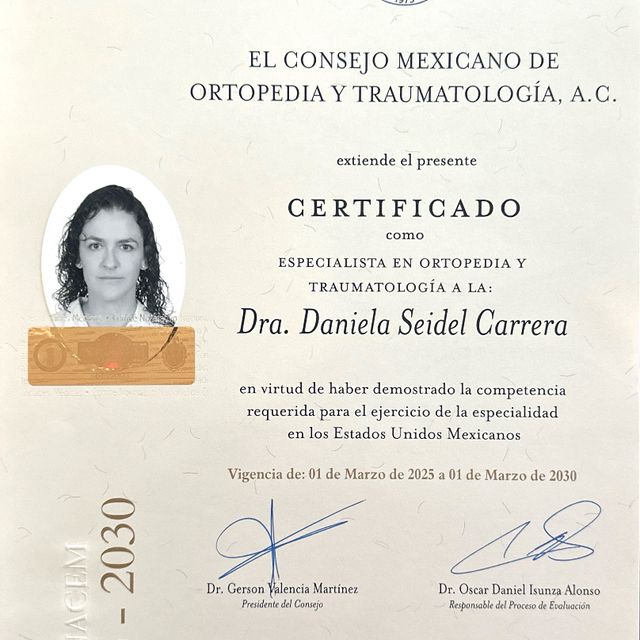 Ampliar imagen: certificate 3