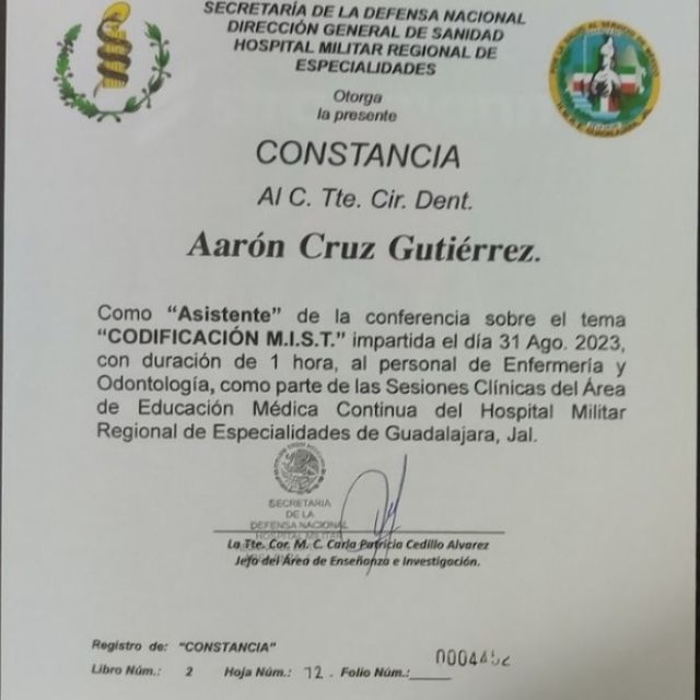 Ampliar imagen: certificate 7