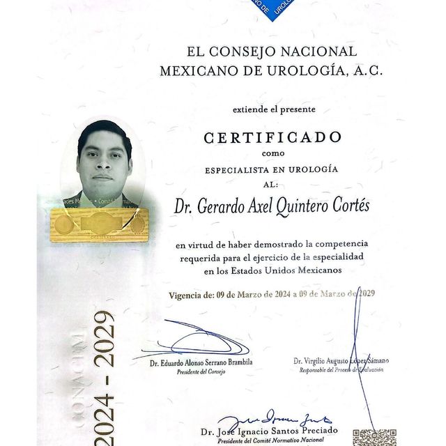 Ampliar imagen: certificate 1