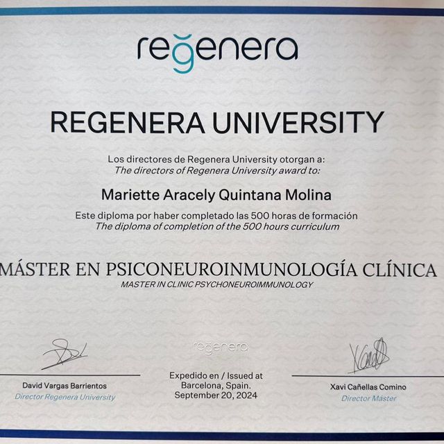 Ampliar imagen: certificate 3