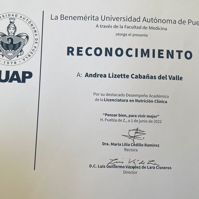 Ampliar imagen: certificate 4