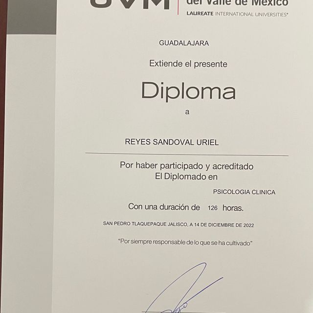 Ampliar imagen: certificate 3
