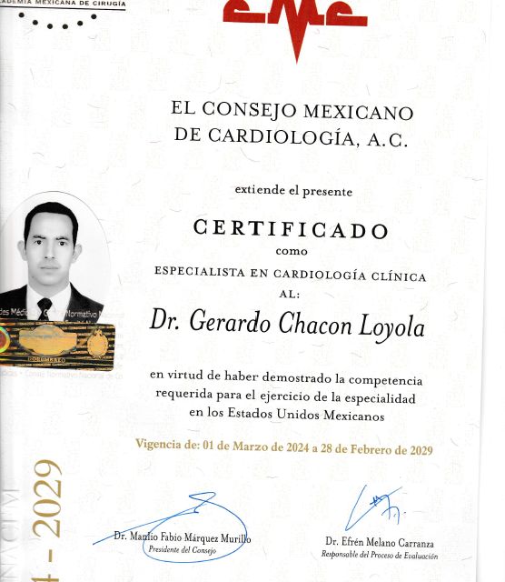 Ampliar imagen: certificate 1