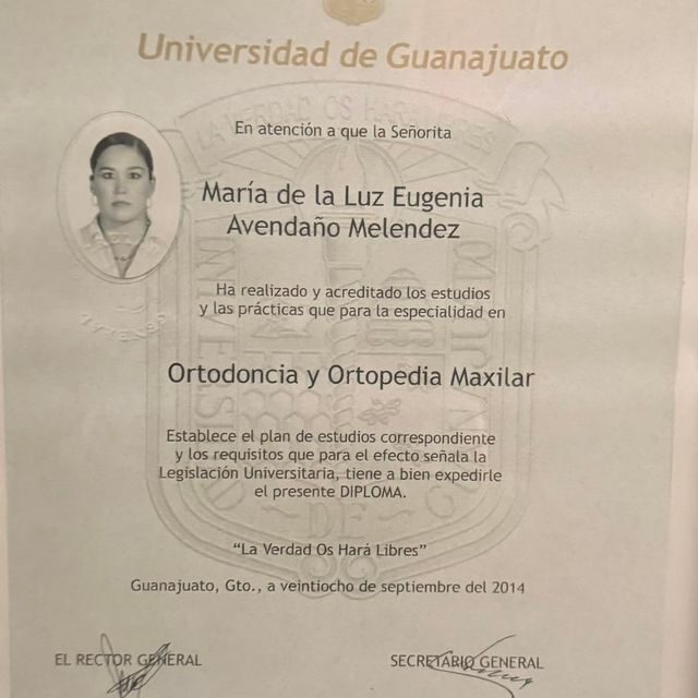 Ampliar imagen: certificate 5