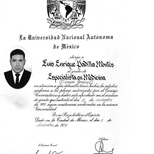 Ampliar imagen: certificate 5
