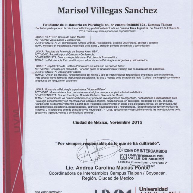 Ampliar imagen: certificate 3