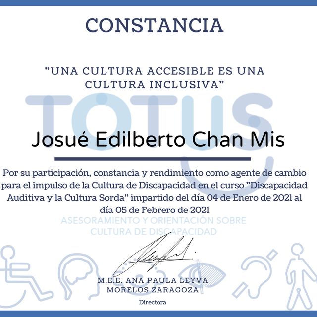 Ampliar imagen: certificate 11