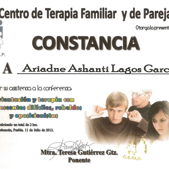 Ampliar imagen: certificate 26
