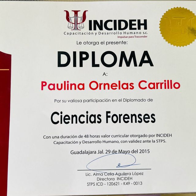 Ampliar imagen: certificate 3