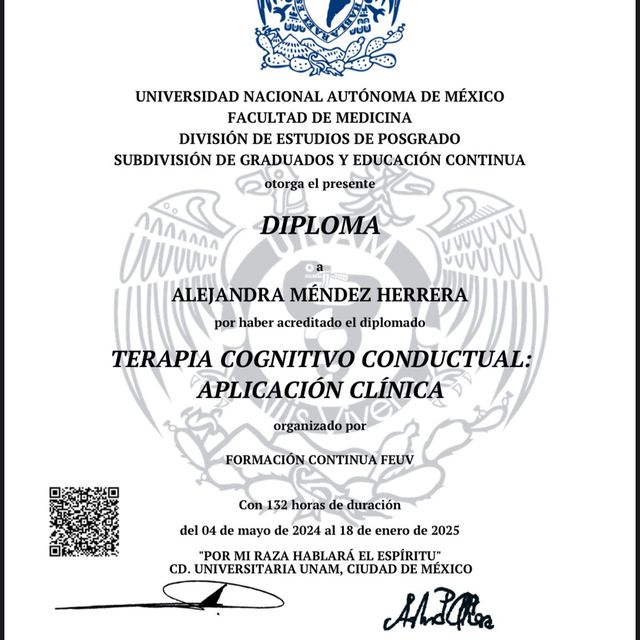 Ampliar imagen: certificate 9