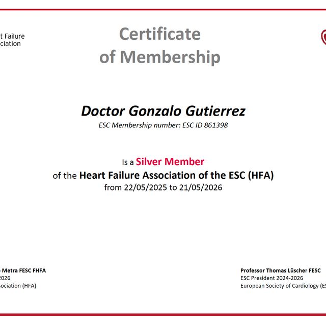 Ampliar imagen: certificate 4