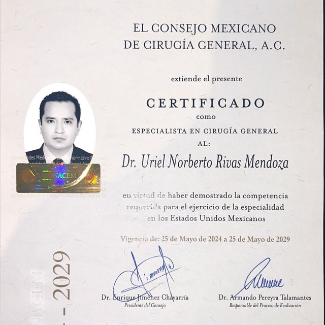 Ampliar imagen: certificate 1