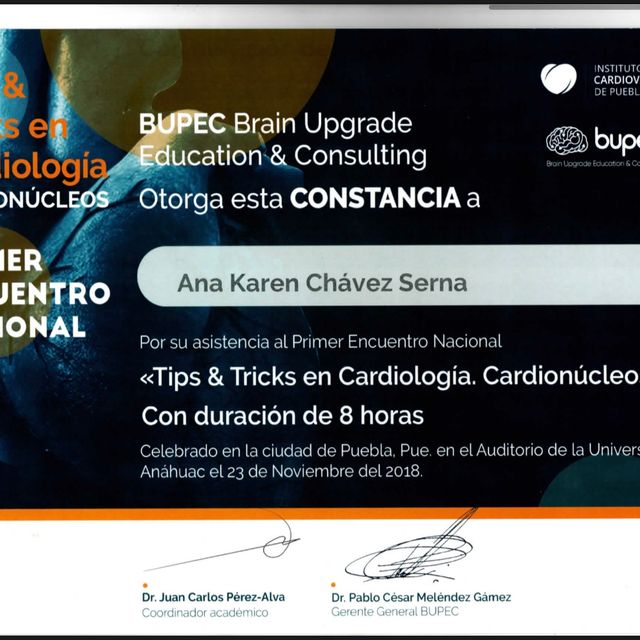 Ampliar imagen: certificate 4