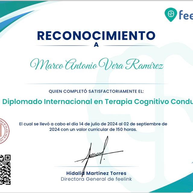 Ampliar imagen: certificate 6