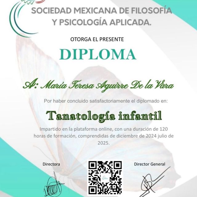 Ampliar imagen: certificate 3