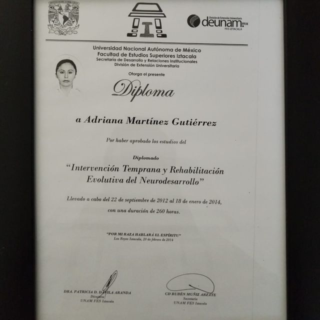 Ampliar imagen: certificate 2