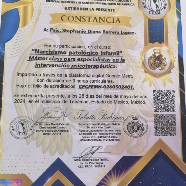 Ampliar imagen: certificate 23