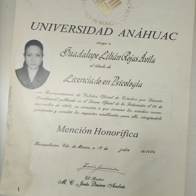 Ampliar imagen: certificate 2